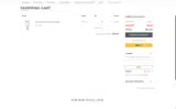 SPRING coupon verification screenshot