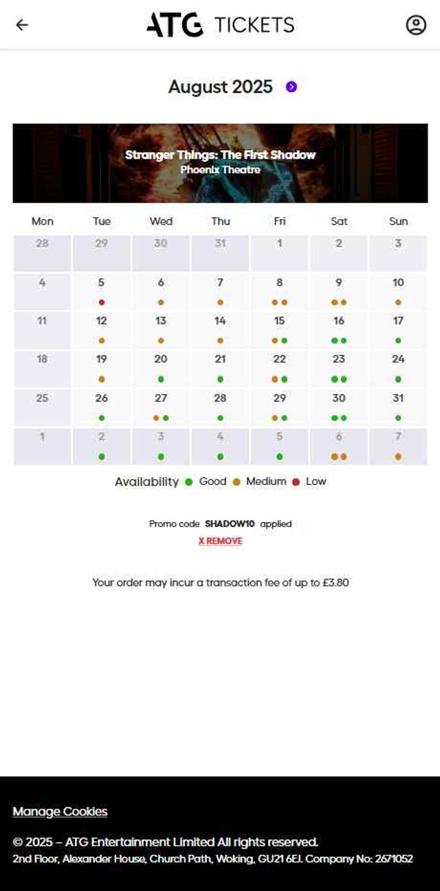 ATG Tickets checkout page showing ATG Tickets discount code box | Screenshot taken by SimplyCodes community member on Aug 5, 2025