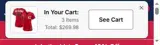 Atlanta Braves coupon verification screenshot