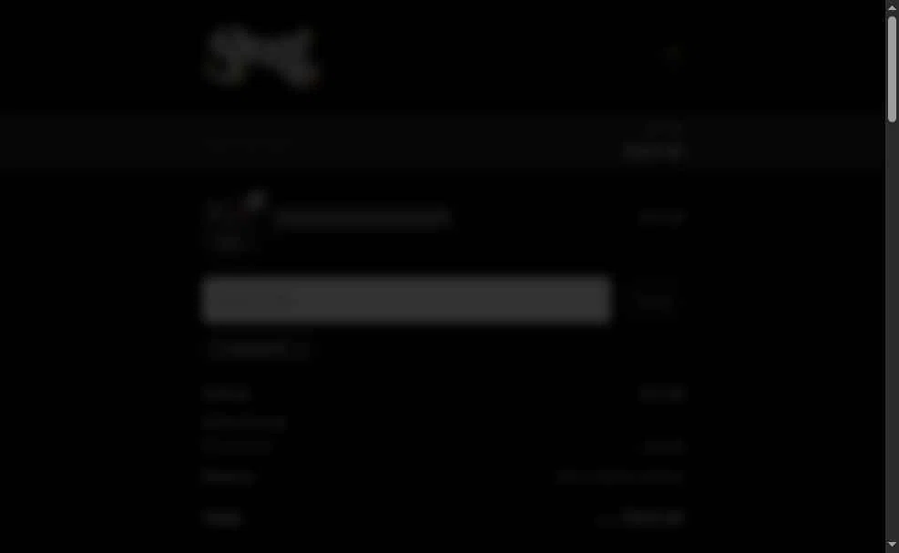 Backstreetmerch checkout page showing Backstreetmerch promo code box | Screenshot taken by SimplyCodes community member on May 22, 2025