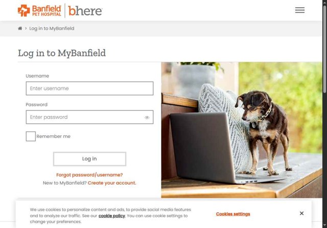 Banfield Pet Hospital checkout page showing Banfield Pet Hospital promo code box | Screenshot taken by SimplyCodes community member on Jun 16, 2025
