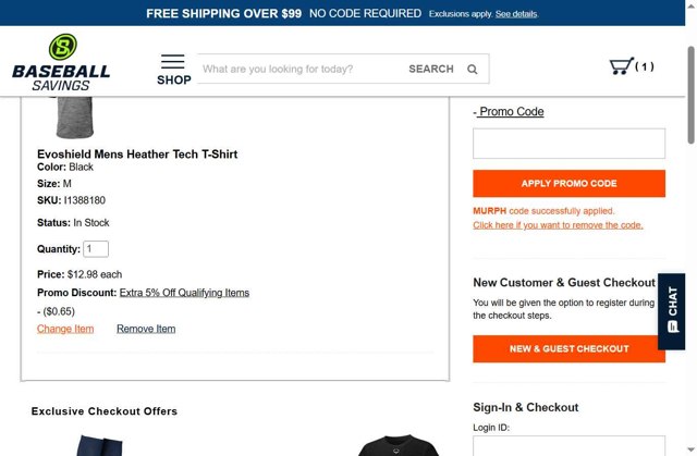 BaseballSavings checkout page showing BaseballSavings promo code box | Screenshot taken by SimplyCodes community member on Jul 17, 2025