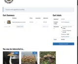 Basidium Equilibrium coupon verification screenshot