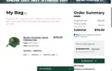 SNOWDAY10 coupon verification screenshot
