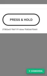 Baylor Bears Athletics Shop coupon verification screenshot