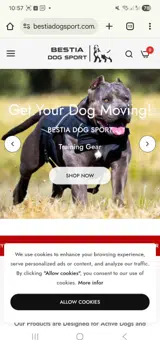 HOTDEAL coupon verification screenshot