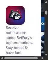 BetFury coupon verification screenshot