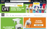 NESTOPIA10 coupon verification screenshot