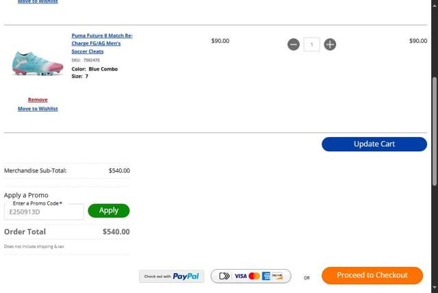 Big 5 Sporting Goods checkout page showing Big 5 Sporting Goods promo code box | Screenshot taken by SimplyCodes community member on Sep 14, 2025
