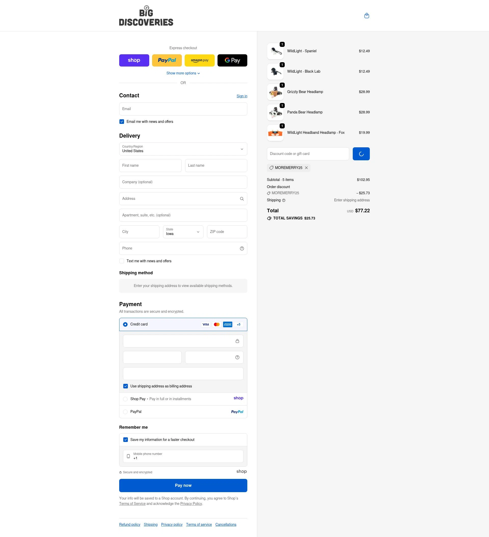 Big Discoveries checkout page showing Big Discoveries promo code box | Screenshot taken by SimplyCodes community member on Jan 8, 2026