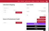 bingblu4u coupon verification screenshot