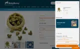 Binkybunny coupon verification screenshot