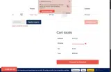 PREORDER25 coupon verification screenshot