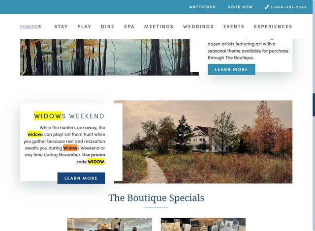 Blue Harbor Resort checkout page showing Blue Harbor Resort promo code box | Screenshot taken by SimplyCodes community member on Jun 9, 2025