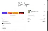 Blue Layne Boutique coupon verification screenshot