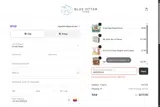 Blue Otter Toys coupon verification screenshot