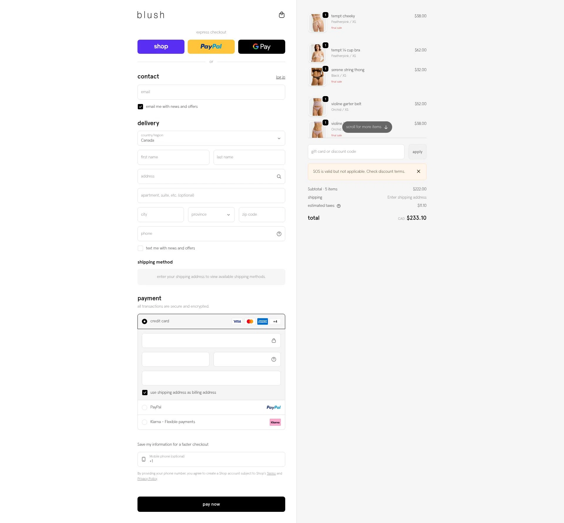 Blush Lingerie checkout page showing Blush Lingerie discount code box | Screenshot taken by SimplyCodes community member on Feb 12, 2026