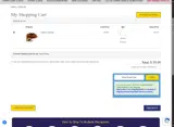 SPRINGFS coupon verification screenshot
