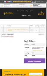 Brainstorm Security Shop coupon verification screenshot