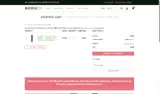 BASKET20 coupon verification screenshot