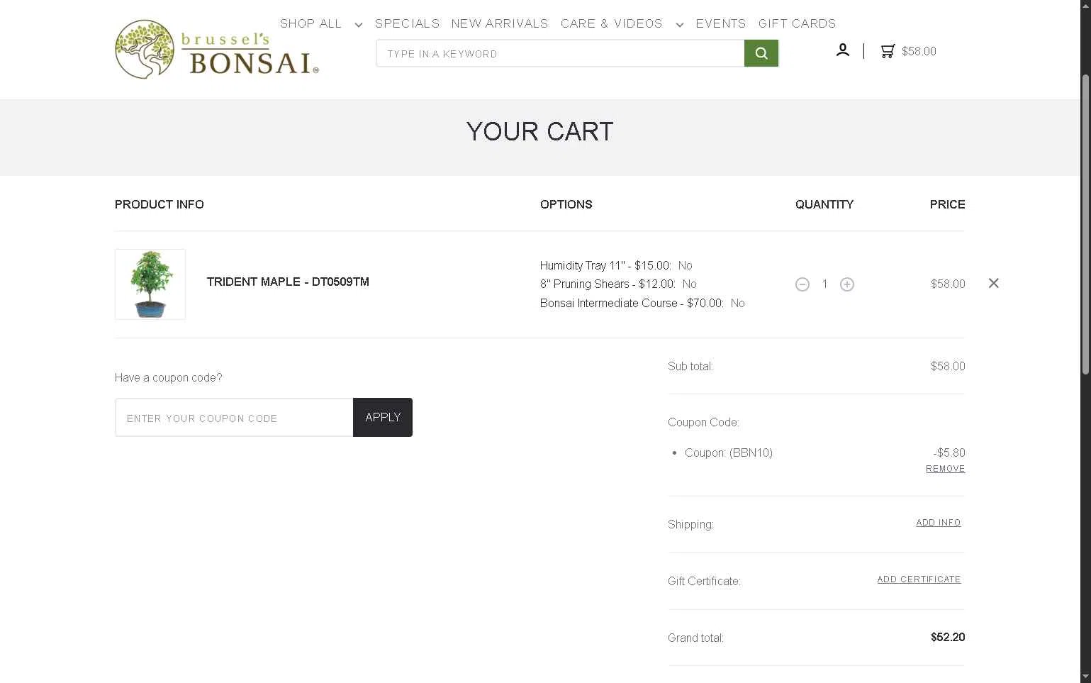 Brussel's Bonsai Promo Codes - 10% Off Jun 2026