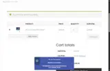 video10 coupon verification screenshot