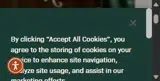 HOLIDAYSATTHETRACE coupon verification screenshot