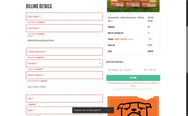 Bullymake checkout page showing Bullymake coupon code box | Screenshot taken by SimplyCodes community member on Sep 2, 2025
