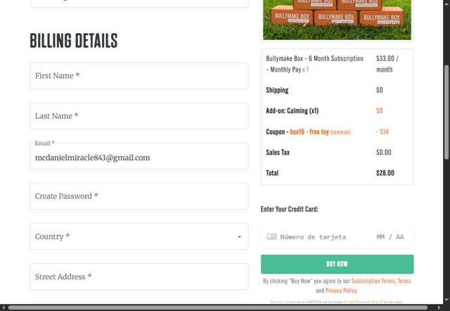 Bullymake checkout page showing Bullymake coupon code box | Screenshot taken by SimplyCodes community member on Aug 27, 2025