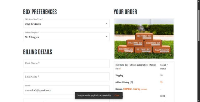 Bullymake checkout page showing Bullymake coupon code box | Screenshot taken by SimplyCodes community member on Aug 6, 2025