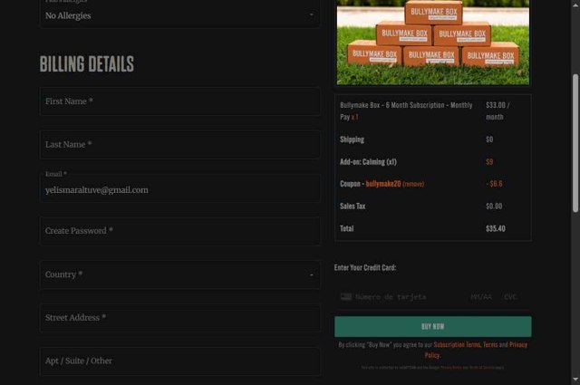Bullymake checkout page showing Bullymake coupon code box | Screenshot taken by SimplyCodes community member on Aug 6, 2025