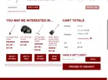 DecSnow15 coupon verification screenshot