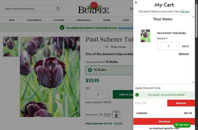 Burpee checkout page showing Burpee discount code box | Screenshot taken by SimplyCodes community member on Aug 8, 2025