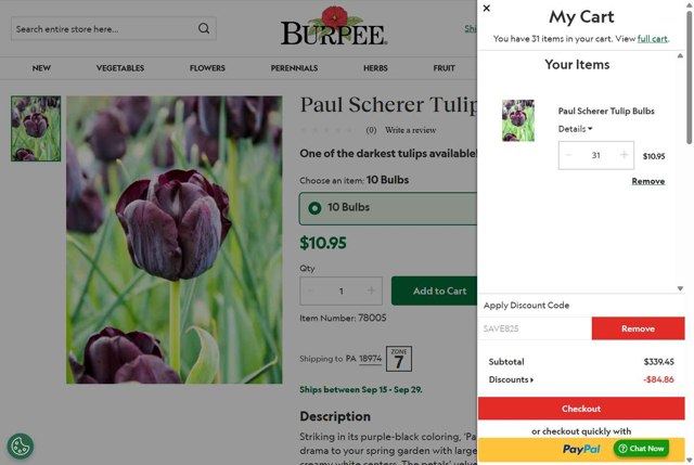 Burpee checkout page showing Burpee discount code box | Screenshot taken by SimplyCodes community member on Aug 13, 2025