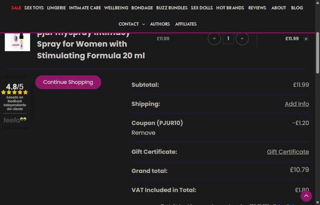 BuzzPinky checkout page showing BuzzPinky promo code box | Screenshot taken by SimplyCodes community member on Jul 17, 2025