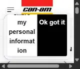 Can-Am coupon verification screenshot
