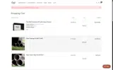 SIMGT5 coupon verification screenshot