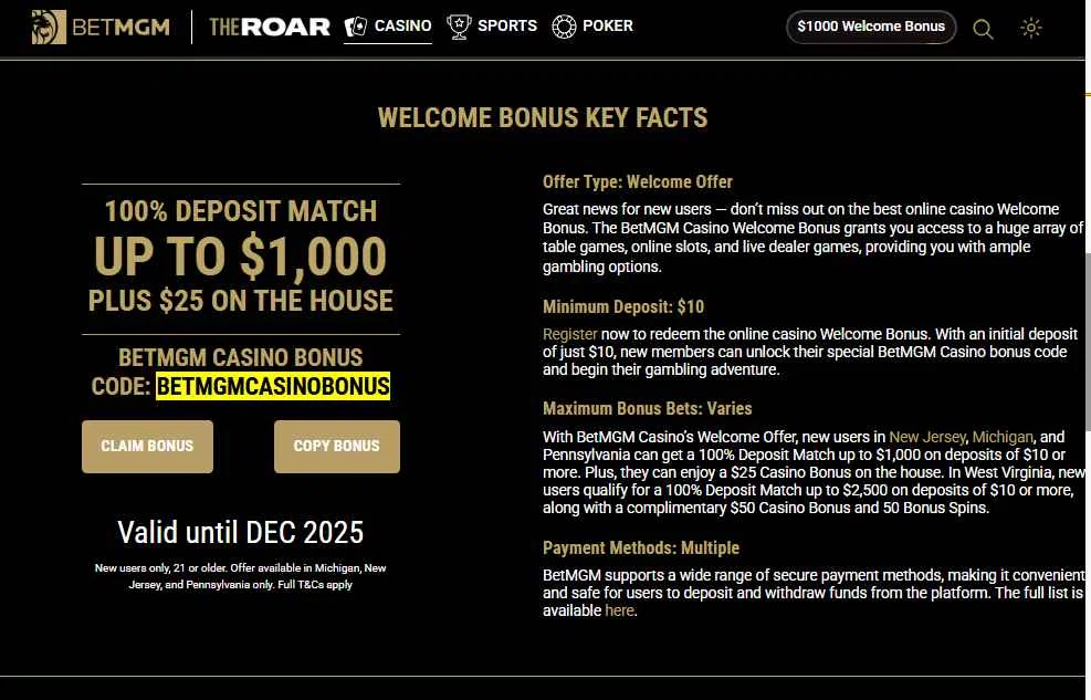 BetMGM Casino checkout page showing BetMGM Casino promo code box | Screenshot taken by SimplyCodes community member on Nov 17, 2025
