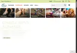 Chaco coupon verification screenshot