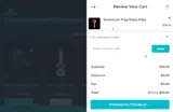 Chameleon Glass coupon verification screenshot