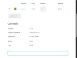 SUMMER15 coupon verification screenshot