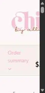 Chic by Ally B coupon verification screenshot