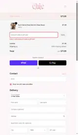 Chic by Ally B coupon verification screenshot