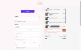 Chic by Ally B coupon verification screenshot
