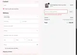 Chic by Ally B coupon verification screenshot