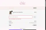 Chic by Ally B coupon verification screenshot
