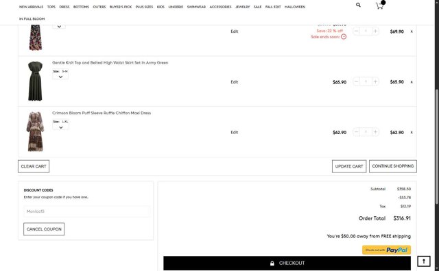 Chicwish checkout page showing Chicwish promo code box | Screenshot taken by SimplyCodes community member on Aug 25, 2025