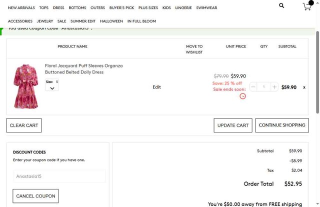 Chicwish checkout page showing Chicwish promo code box | Screenshot taken by SimplyCodes community member on Aug 8, 2025