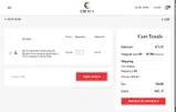 SAVE10 coupon verification screenshot