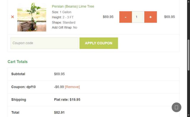 Yarden checkout page showing Yarden coupon code box | Screenshot taken by SimplyCodes community member on Jun 22, 2025